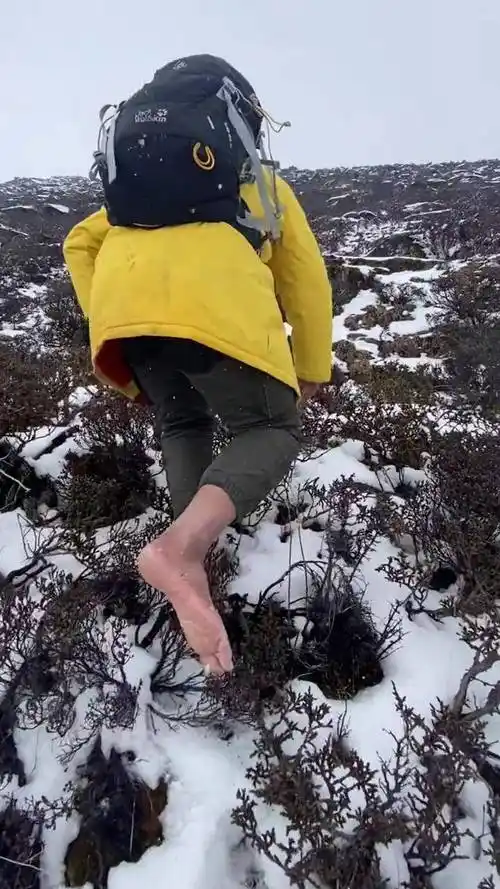 在海拔五千米光脚爬雪山景色美到极致野雪户外雪地里撒欢旅行推荐官