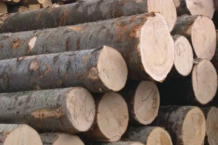 世界最硬的木材,硬度是钢铁的两倍,子弹打不穿,被称为木王_木头_桦木