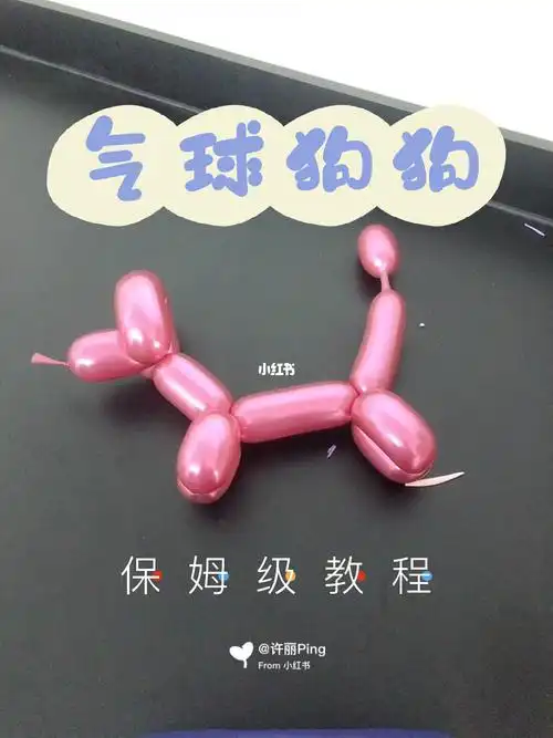 一看就会69新手必备气球狗狗教程