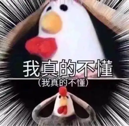我真的不懂(我真的不懂)_真的表情