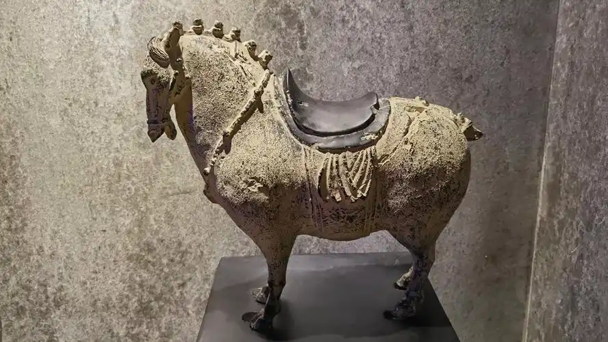 连博物馆里都没有的五花马却在一家小店里看到了