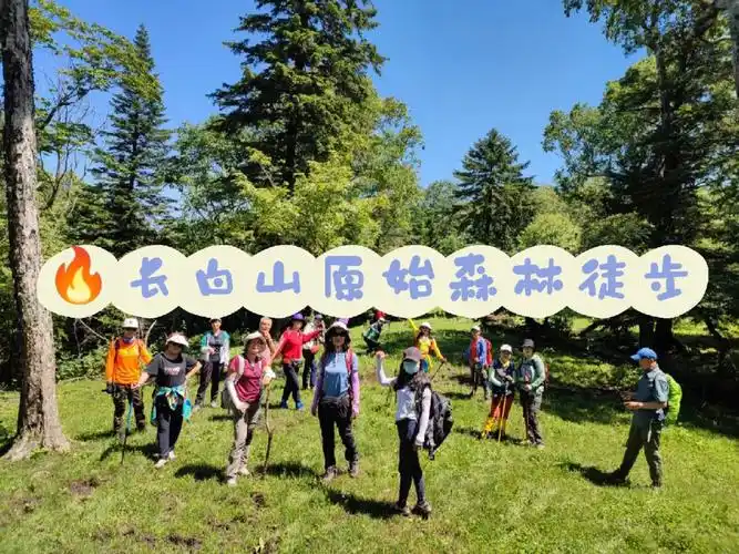 97【长白山原始森林徒步穿越活动】打卡避暑胜地长白山西北双坡72