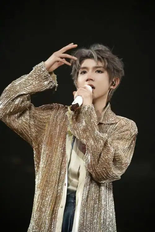 王源演唱会上的绿海