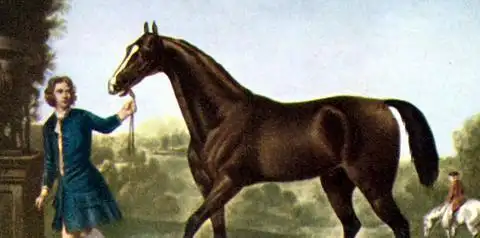 马几把有多大图片【马几把叫什么】