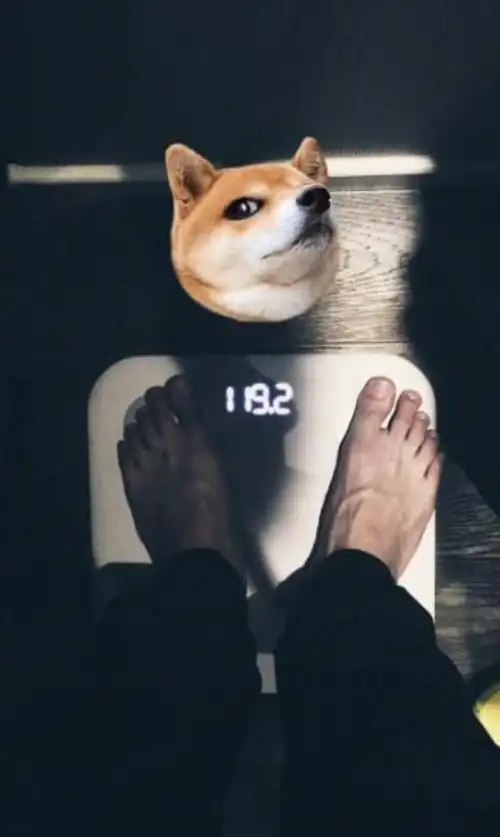 华晨宇胖了华晨宇晒体重表示自己长胖了15斤