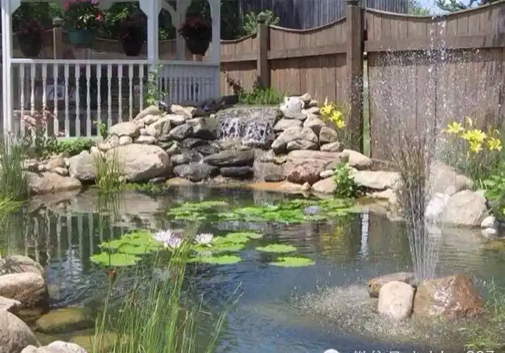 庭院小水系 美美的