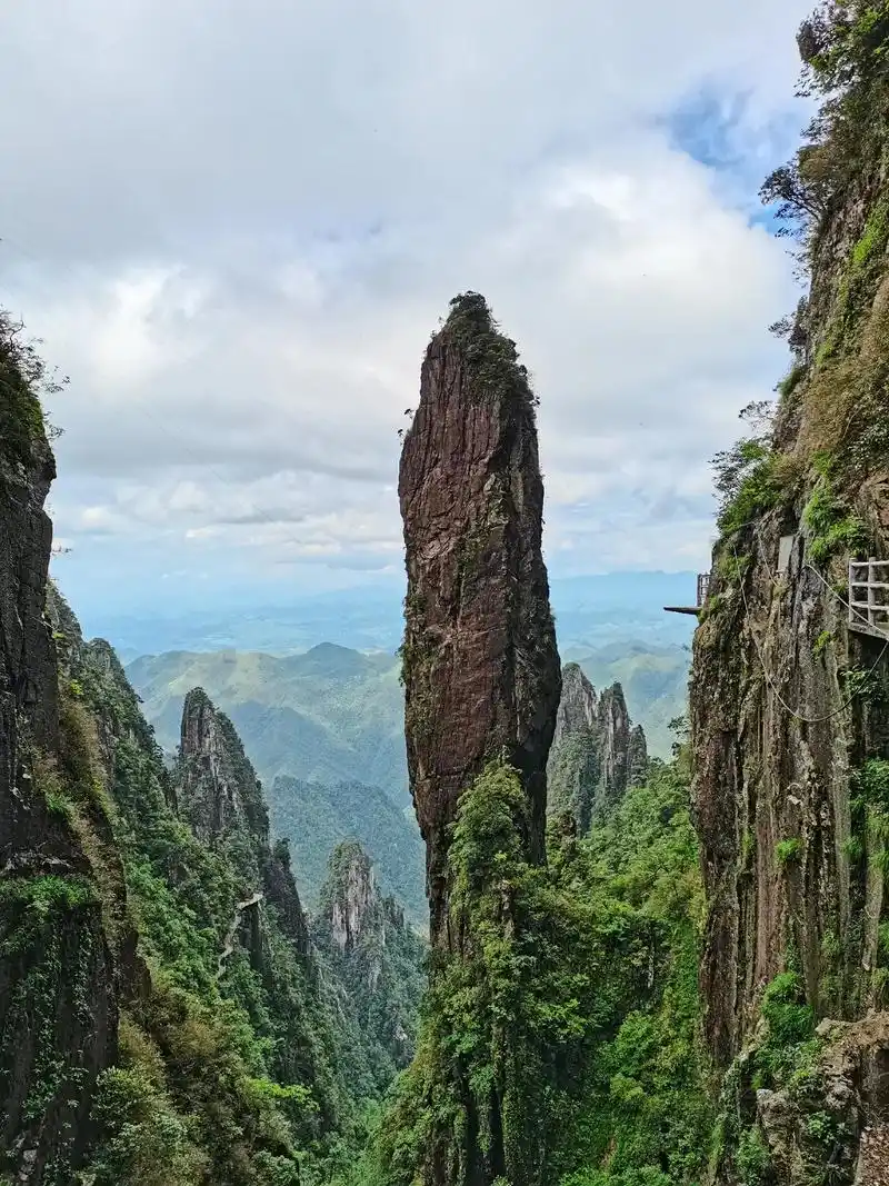 热门 #抢抓晴天机遇,乐游莽山仙境. 图片摄于中国生态第一 - 抖音