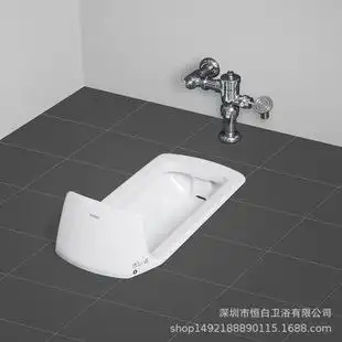 座便器 蹲便器