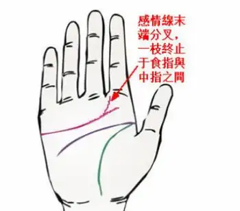 有着不一样的婚姻线代表着什么婚姻运势好不好如何看婚姻线