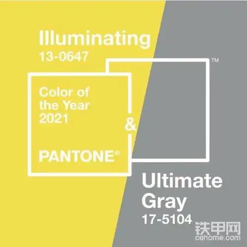 威克诺森:2021年度流行色来了!这个"灰黄组合"不错!