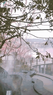 180_320gif 动态图 动图