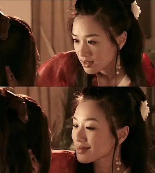 国内电视剧天龙八部中美女演员(03版天龙八部女演员)(32)