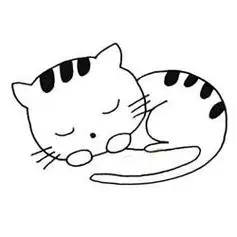睡着的猫咪简笔画