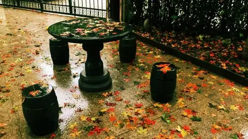 美篇 落叶之美9493庭院里即将凋谢的93期待明年再度辉煌