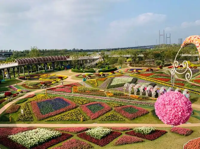 不一样的秋色——赏浦江郊野公园的花海.