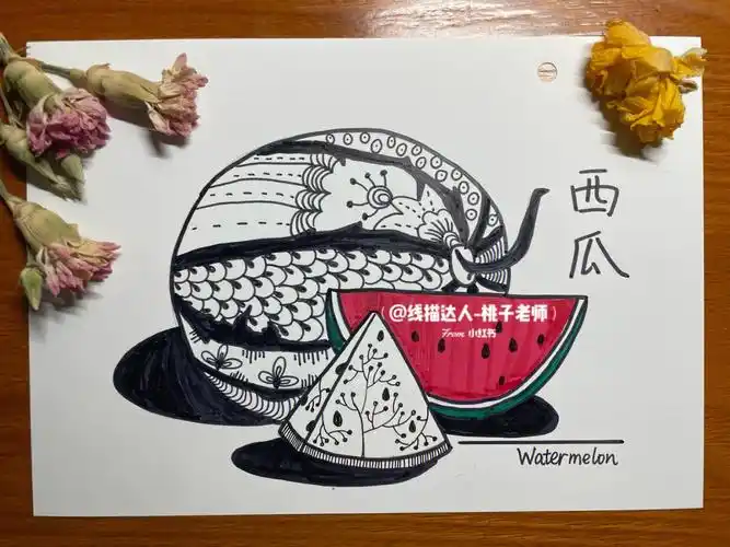 写生线描中级儿童画西瓜含绘画步骤
