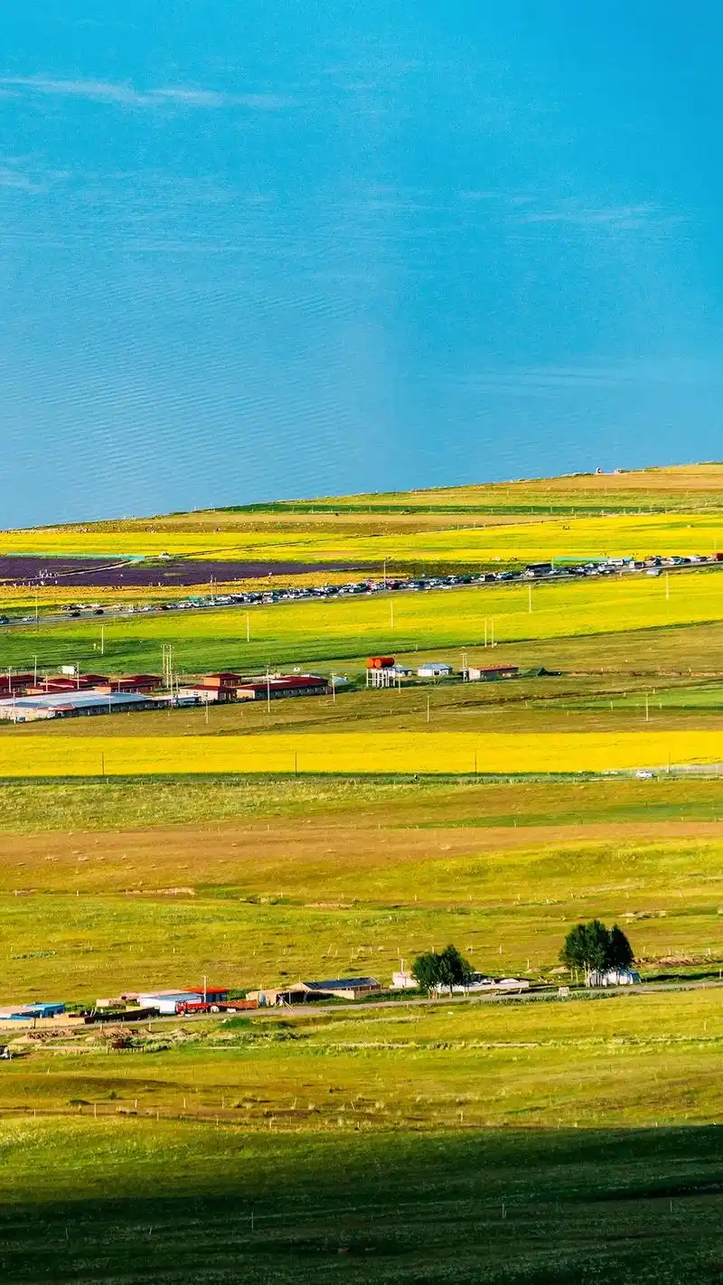 最美湖泊推荐‖走进中国最美 湖泊之青海湖.每年7月至8月是青 - 抖音
