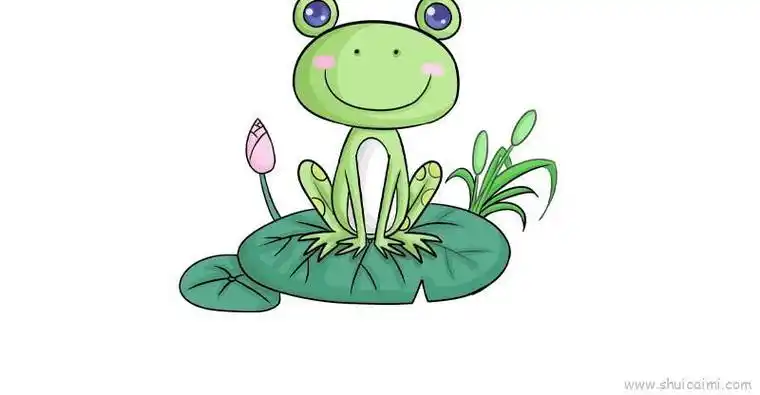 青蛙蹲在荷叶上简笔画彩色