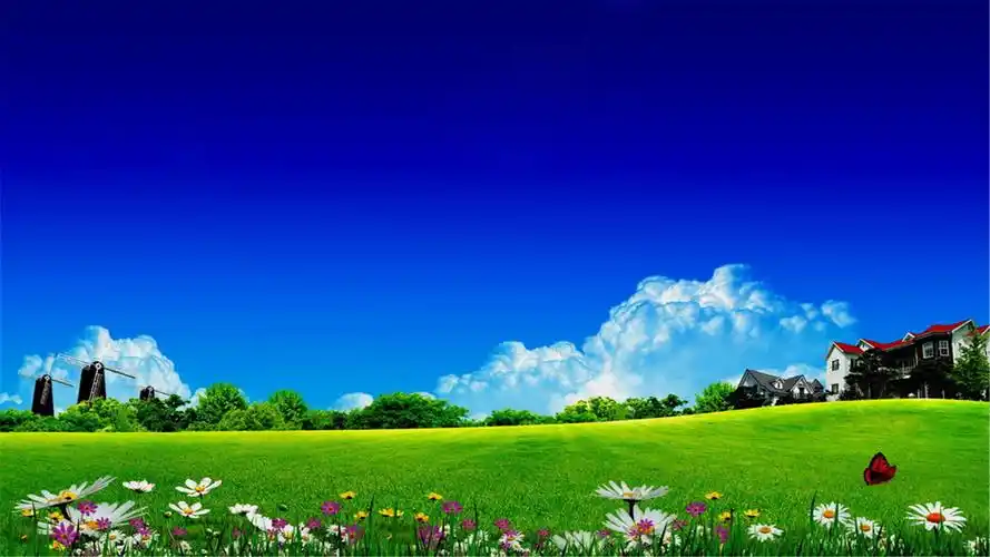 电脑桌面壁纸尺寸(1920x1080)适合任何电脑尺码,全是以绿色图片为背景