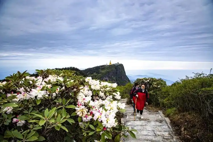 终于等到你峨眉山最高峰万佛顶重新开放27日迎来首批游客