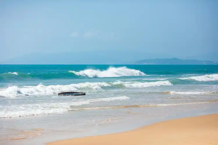 暑假的异国情调.天然背景和墙纸.