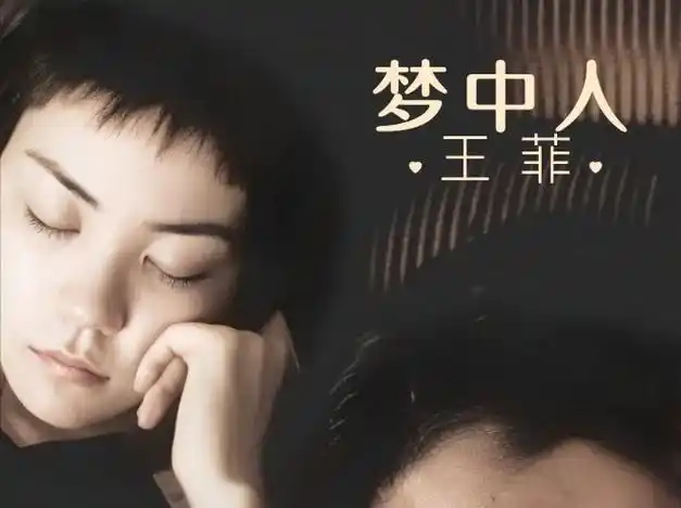 一分钟抱紧,接十分钟的吻-王菲 梦中人