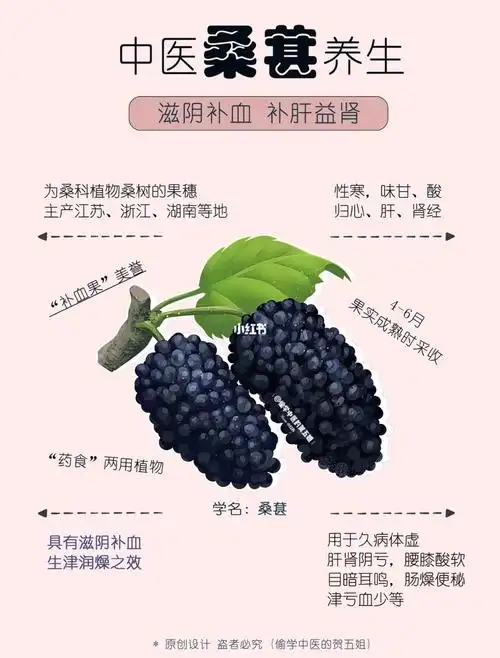 桑葚的功效与作用吃桑椹能降低血脂