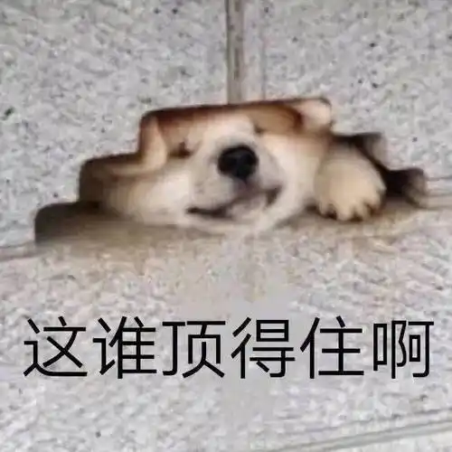 姐姐好辣!个性沙雕表情包