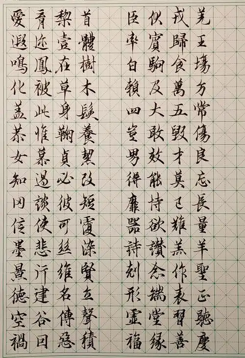 钢笔临欧阳询行书千字文第二弹