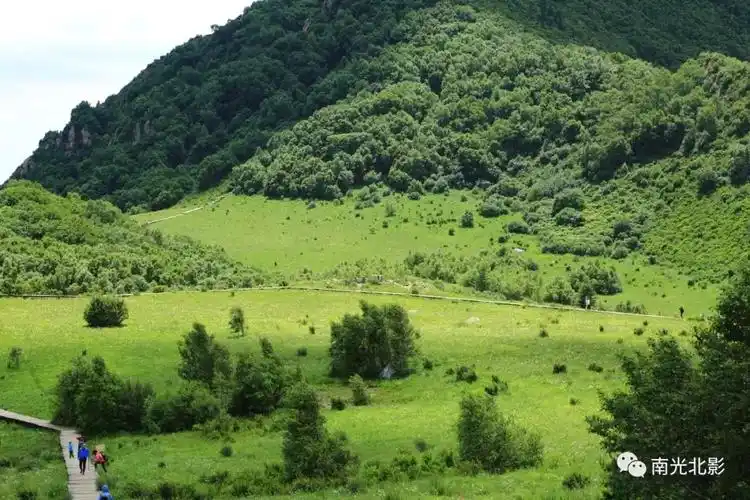 醉美高山草甸,北京百花山,这个夏天你不容错过——南光北影摄影
