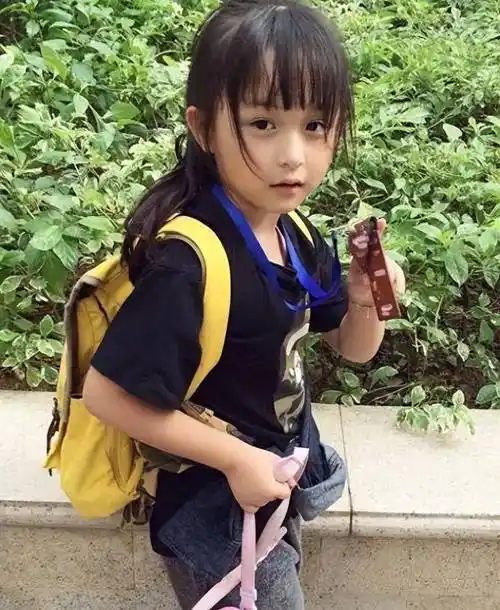 2岁出道年入百万,因长相甜美被禁止整容的刘楚恬,如今长成啥样_女儿