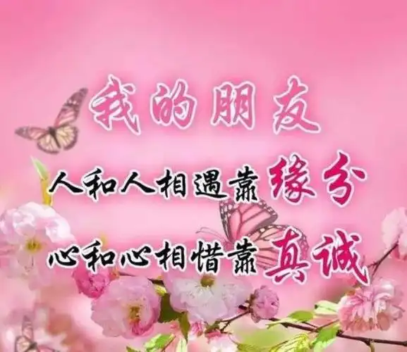 知心的朋友一个就够