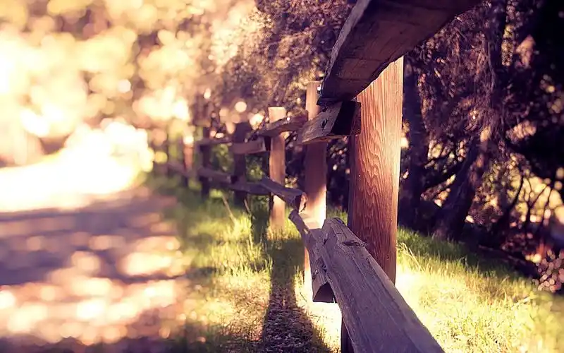 温暖治愈系唯美风景午后阳光图片电脑桌面壁纸高清