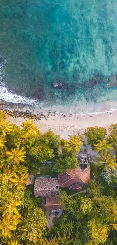 超级手机壁纸:4k画质大海孕育着生命!无水印