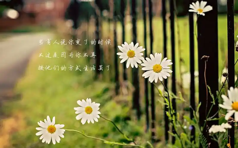 创意语录 > || 更新时间:2017-12-31 颜色分 黑色 关键词:  护眼壁纸