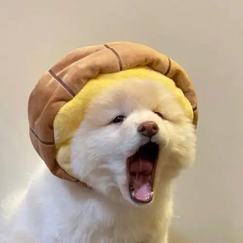 我这么可爱你不要来看一下嘛狗狗头像