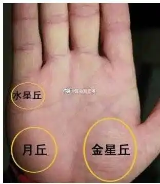 月丘突起饱满的女性,异性缘也一定好月丘. 来自面相易师傅 - 微博