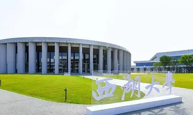 张雪峰谈福耀科技大学,发展隐患比较大|王树国|湖畔大学|西安交通大学