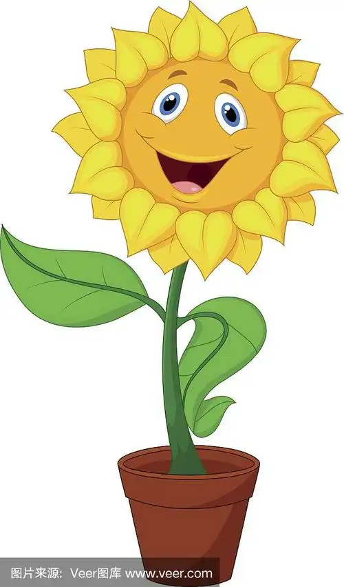 向日葵,卡通,可爱的,农业,黄色