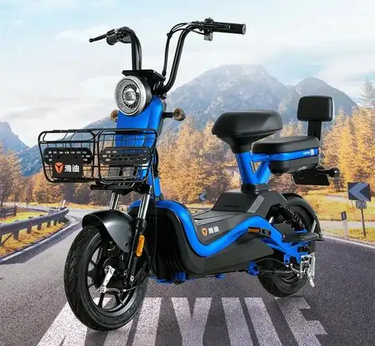 2021年最新的4款国标电动车,你更看好谁?为什么?