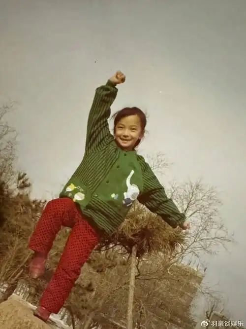 王珞丹|一家四口|母亲_新浪新闻