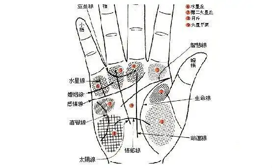 这4个部位长"痣",一生财运相随