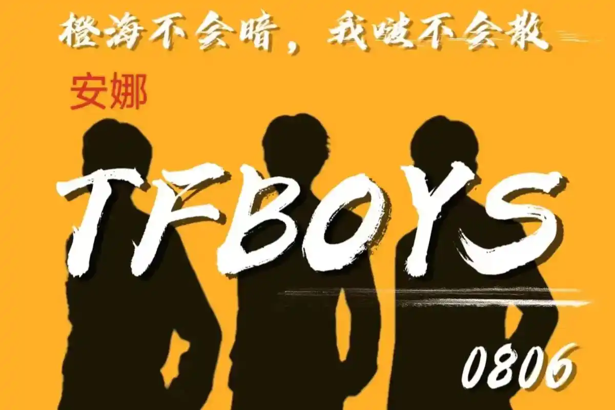 95原创tfboys王俊凯 王源 易烊千玺个人十周年应援大旗 - 抖音