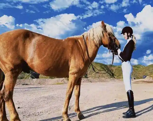 张天爱生日晒骑马照##张天爱生日微博评论