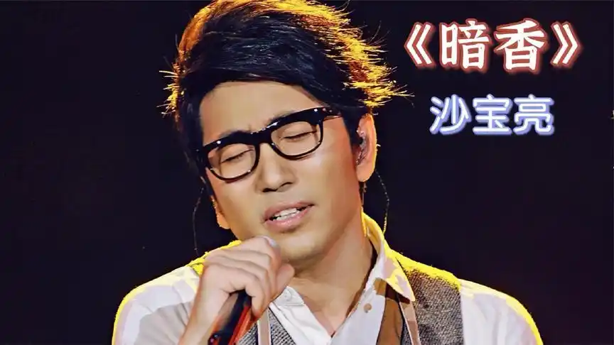 沙宝亮这首《暗香》曾经火遍大街小巷,可惜他不能再唱了