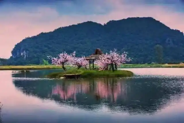 青丘(十里桃花)