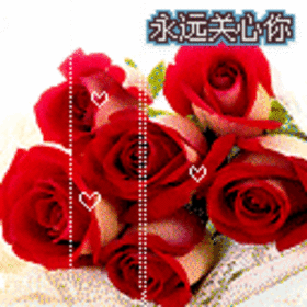 280_280gif 动态图 动图