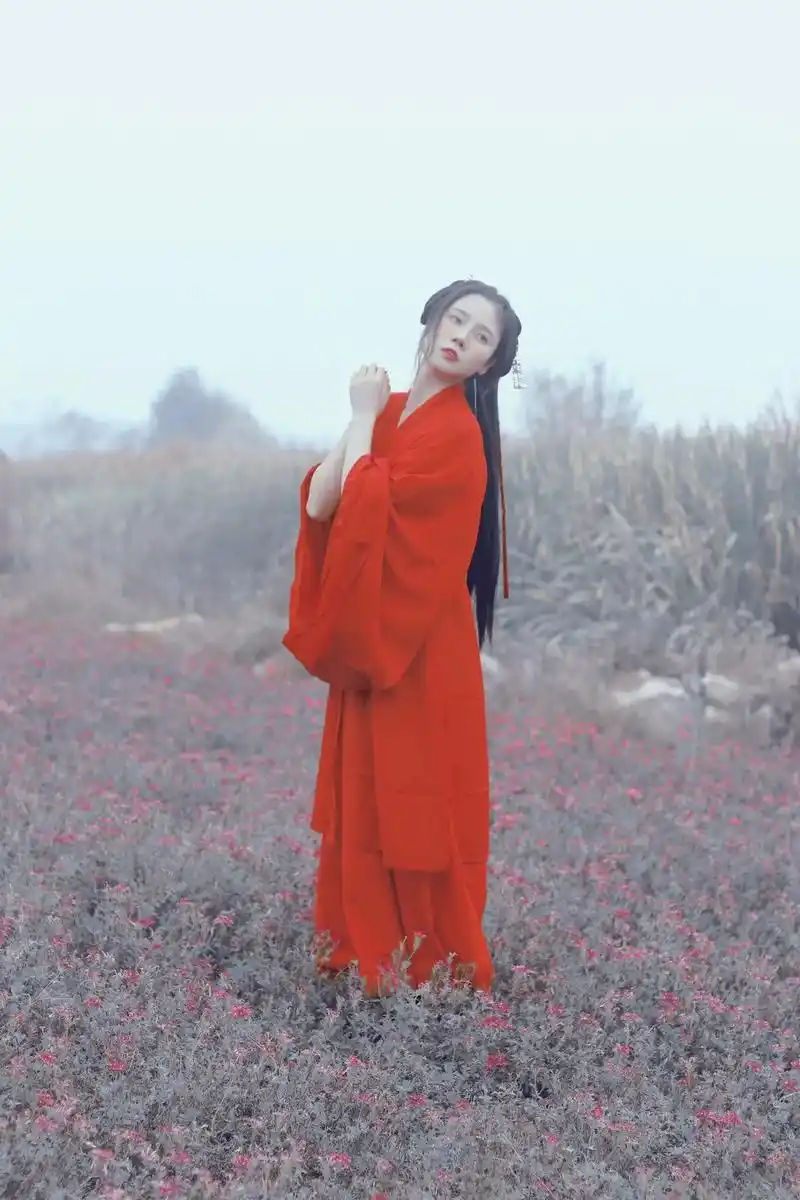 高岸为谷,深谷为陵(调色太重要了)#红衣古装 #古风 #汉服 - 抖音