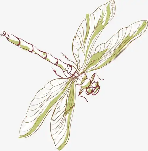 手绘绿色蜻蜓