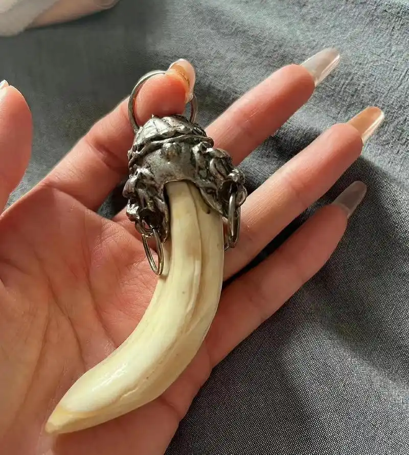网友:男朋友送给我的,他说这个是老虎的牙,挺值钱的97